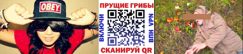 Галлюциногенные грибы прущие грибы  цена наркотик  Псков 
